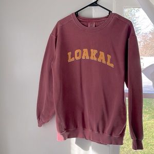 Comfort Colors local Delaware brewery crew neck